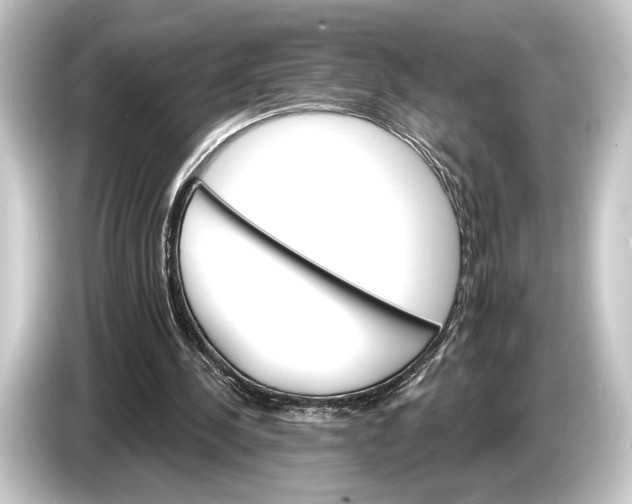 X0000084520244200703161553