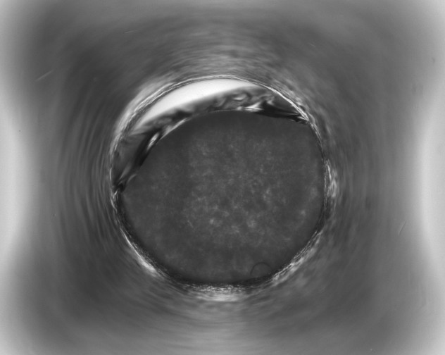 X0000084520245200703161553