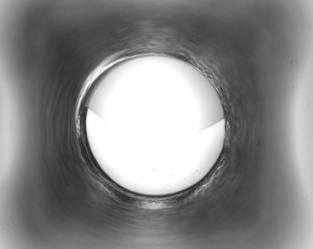 X0000084520246200703161553