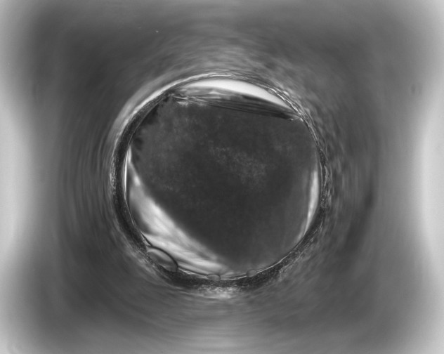 X0000084520247200703161553