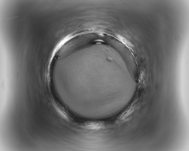 X0000084520248200703161553