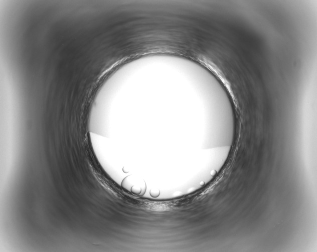 X0000084520249200703161553