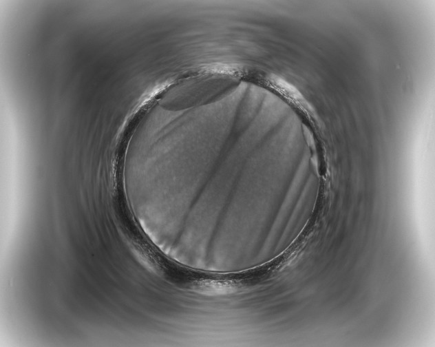 X0000084520250200703161553