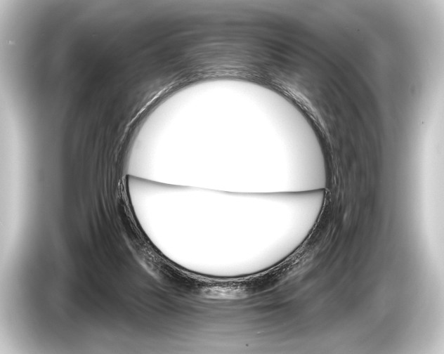 X0000084520251200703161553