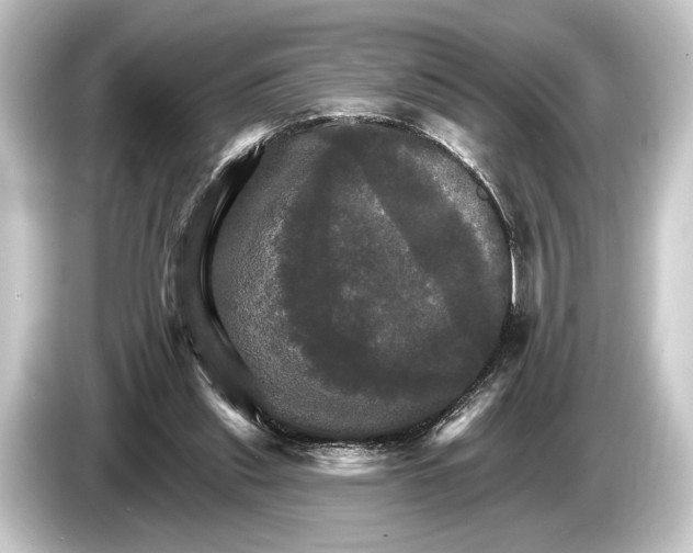 X0000084520253200703161553