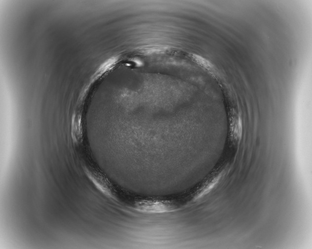 X0000084520254200703161553