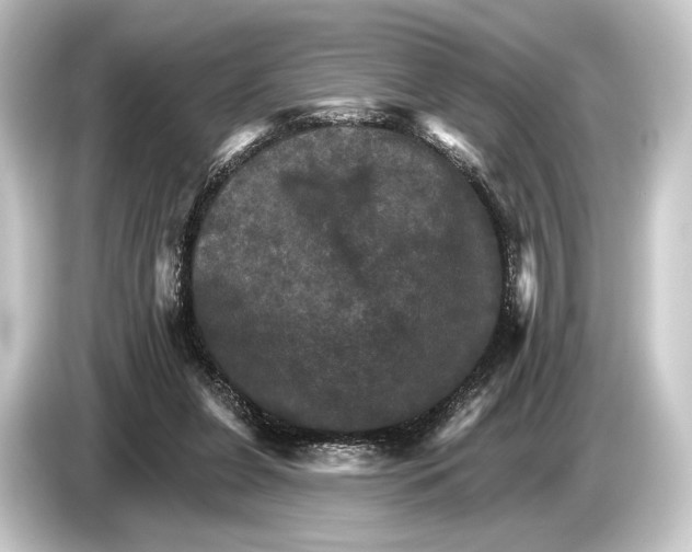 X0000084520255200703161553