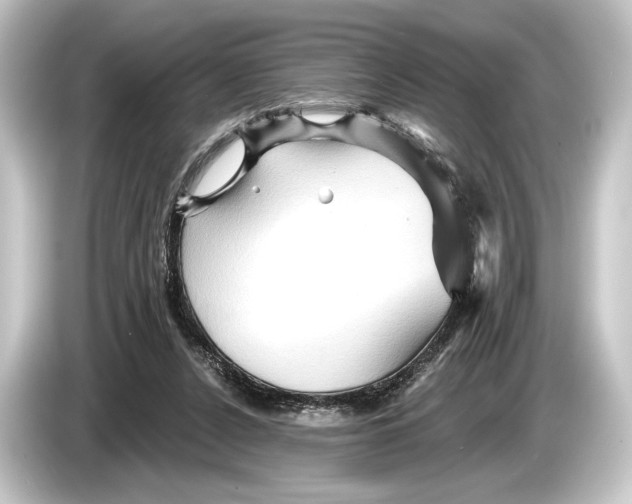 X0000084520256200703161553