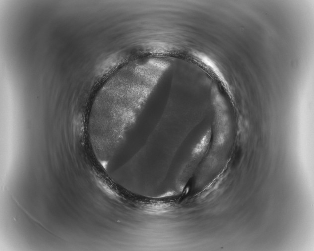 X0000084520257200703161553