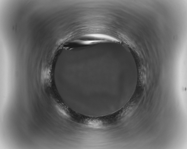 X0000084520258200703161553