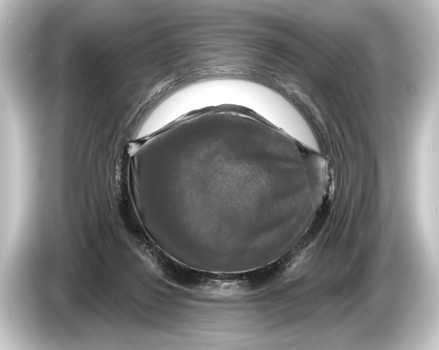 X0000084520260200703161553