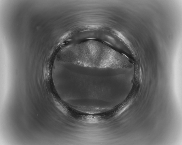 X0000084520261200703161553