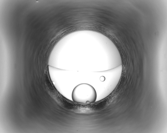 X0000084520262200703161553