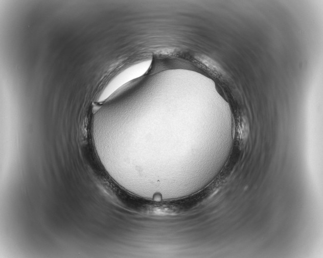 X0000084520264200703161553