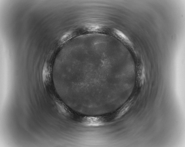 X0000084520265200703161553