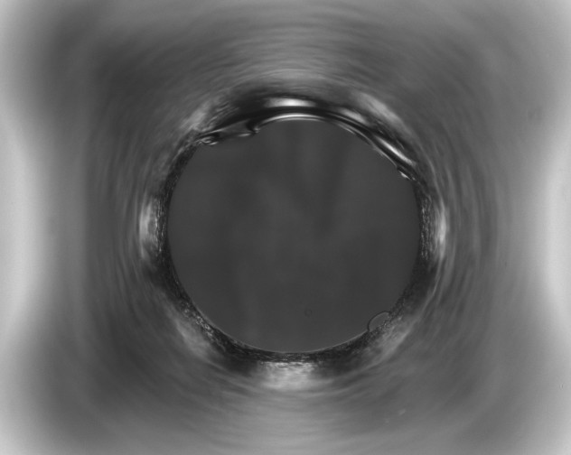 X0000084520266200703161553