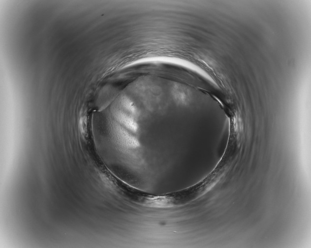 X0000084520269200703161553