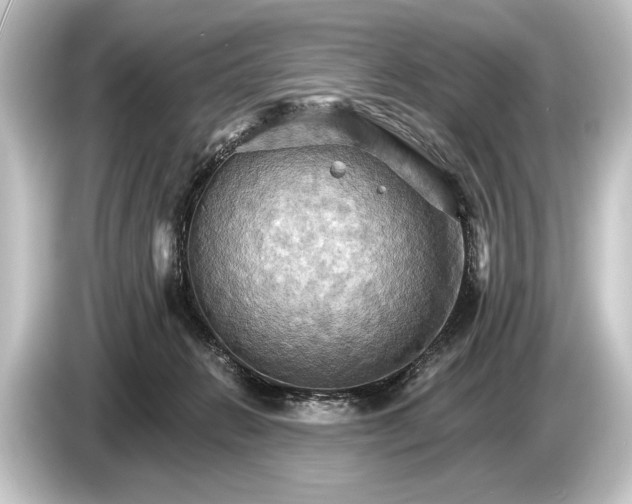 X0000084520270200703161553