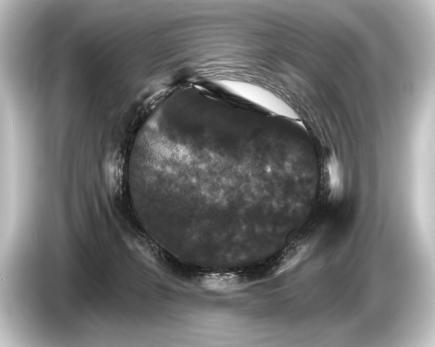 X0000084520271200703161553