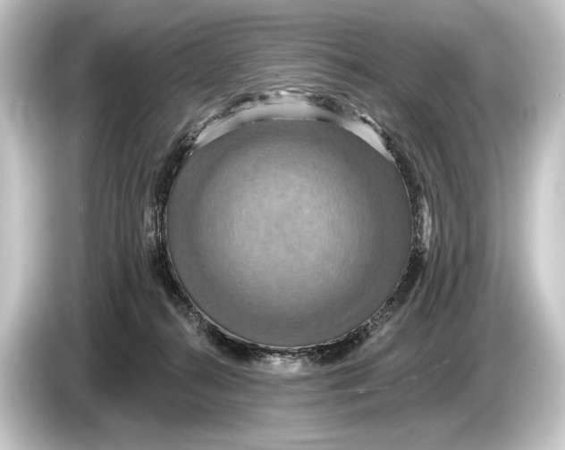 X0000084520272200703161553