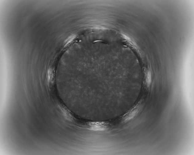 X0000084520273200703161553