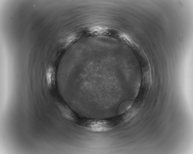 X0000084520274200703161553