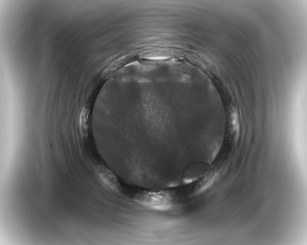 X0000084520275200703161553