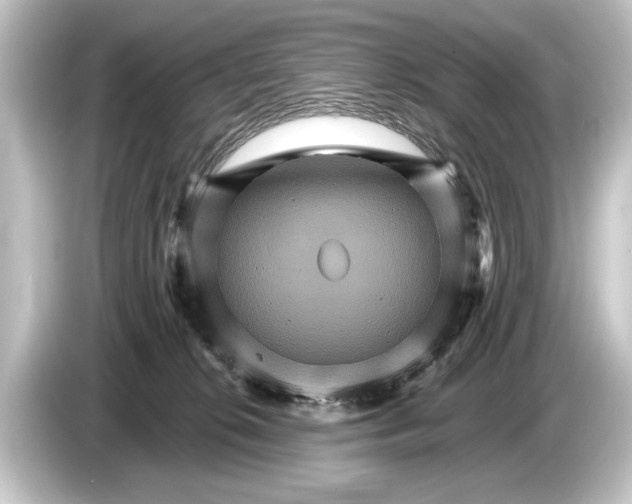 X0000084520276200703161553