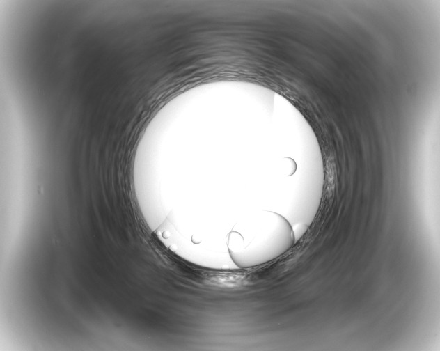 X0000084520278200703161553