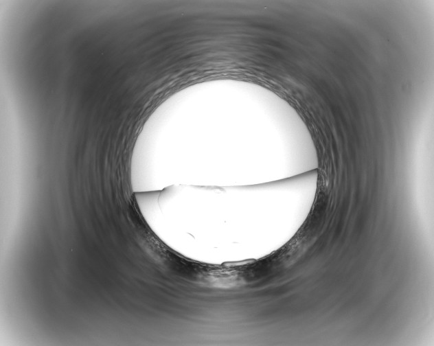 X0000084520279200703161553