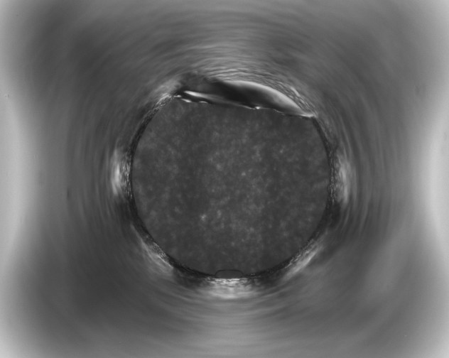 X0000084520281200703161553