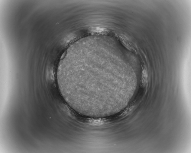 X0000084520282200703161553