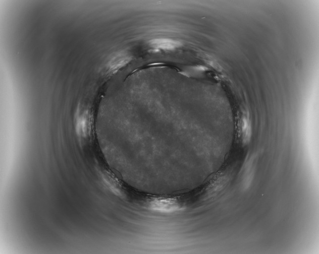 X0000084520283200703161553