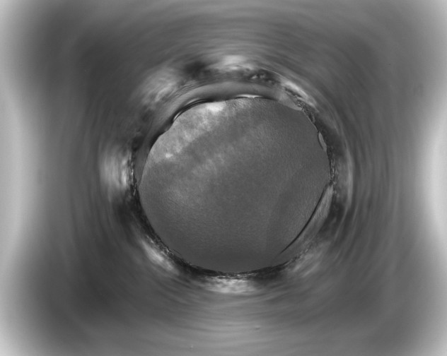 X0000084520284200703161553