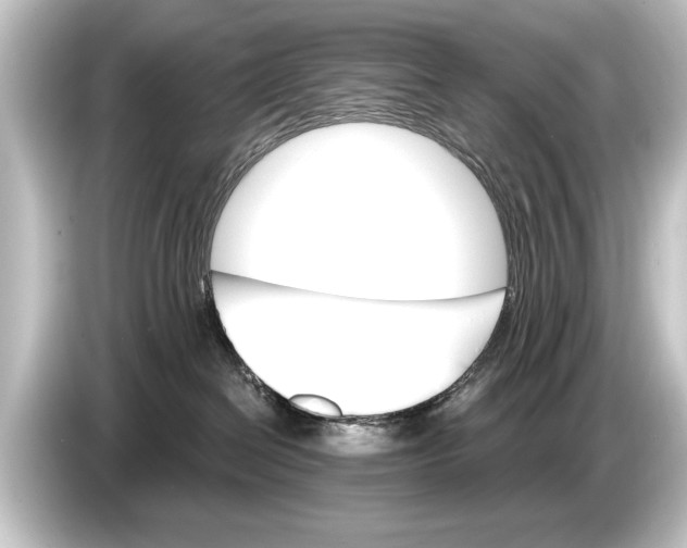 X0000084520286200703161554