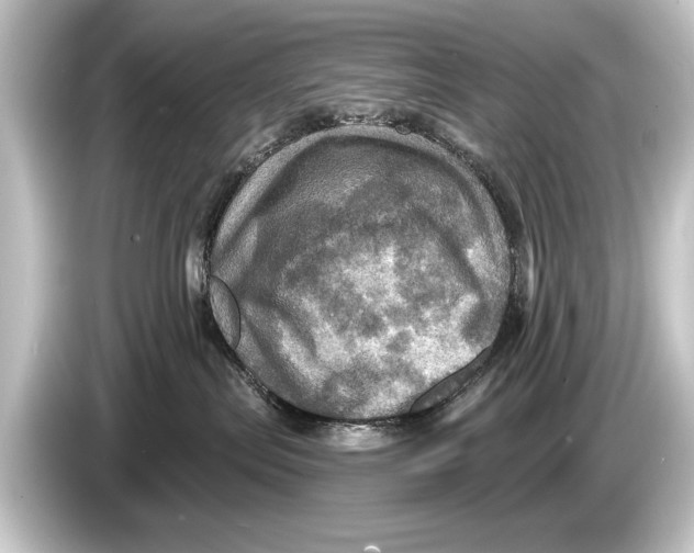 X0000084520287200703161554