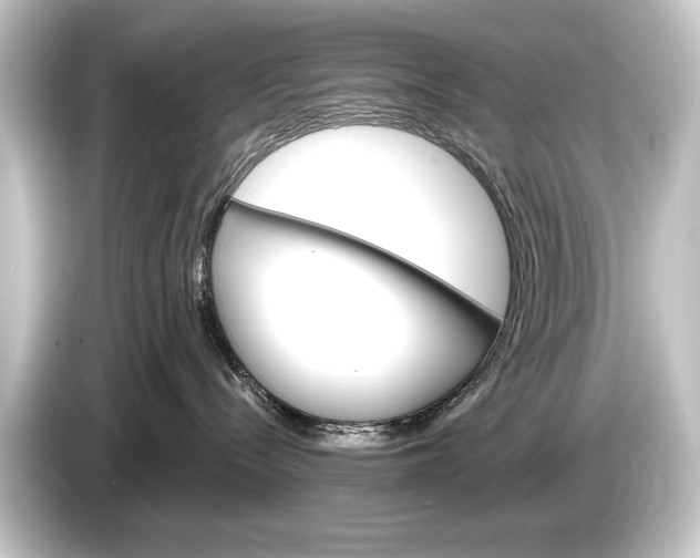 X0000084520288200703161554