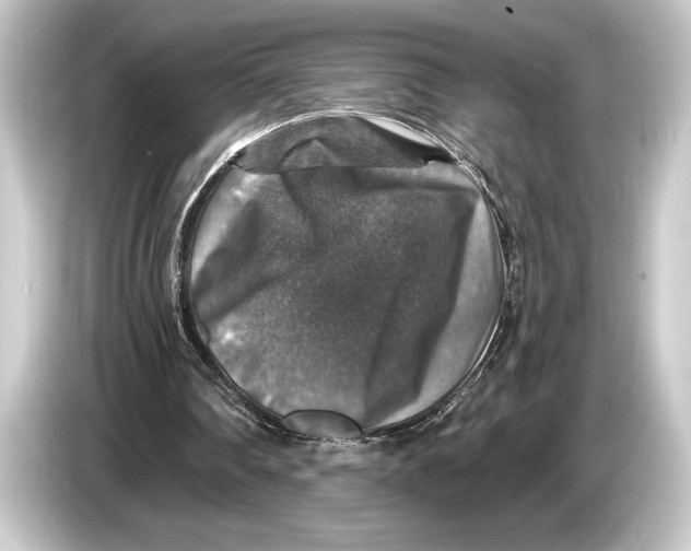 X0000084520290200703161553