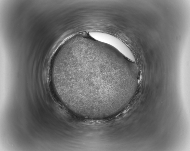 X0000084520291200703161553