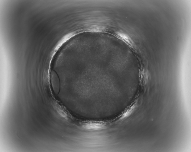 X0000084520292200703161553