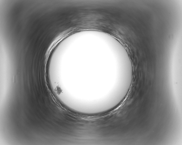 X0000084520293200703161553