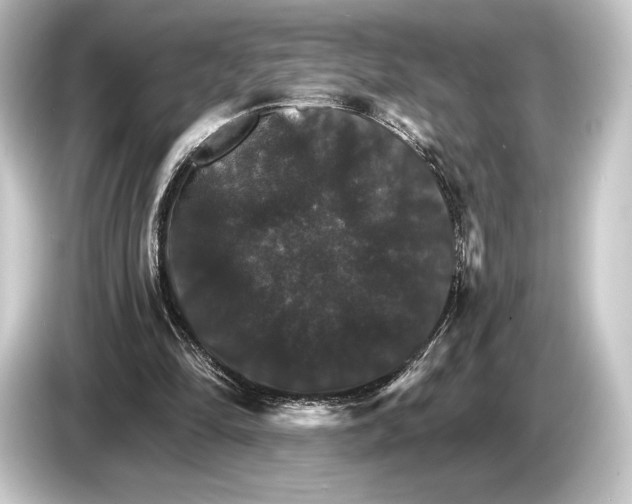 X0000084520294200703161553