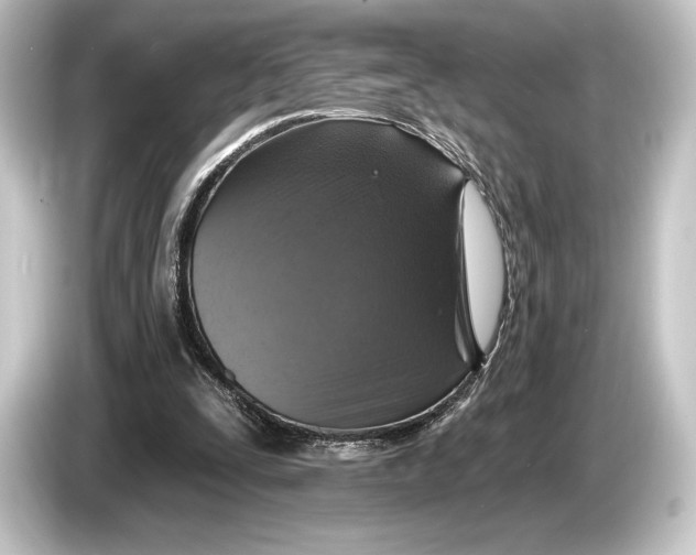 X0000084520295200703161553