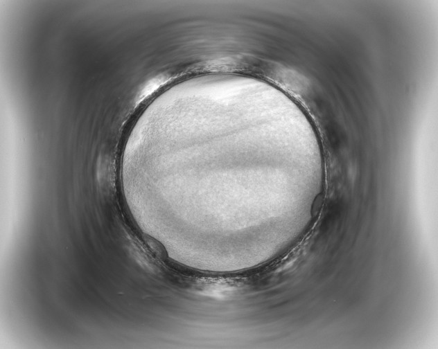 X0000084520297200703161553