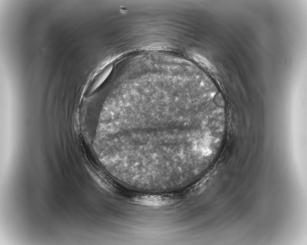 X0000084520298200703161553