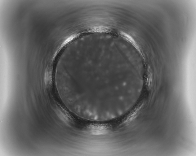 X0000084520299200703161553