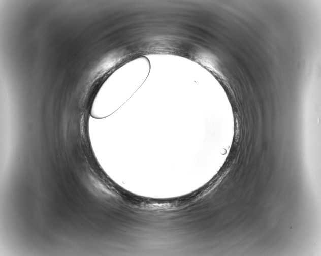 X0000084520302200703161553