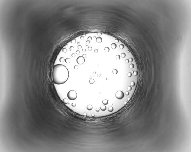 X0000084520303200703161553