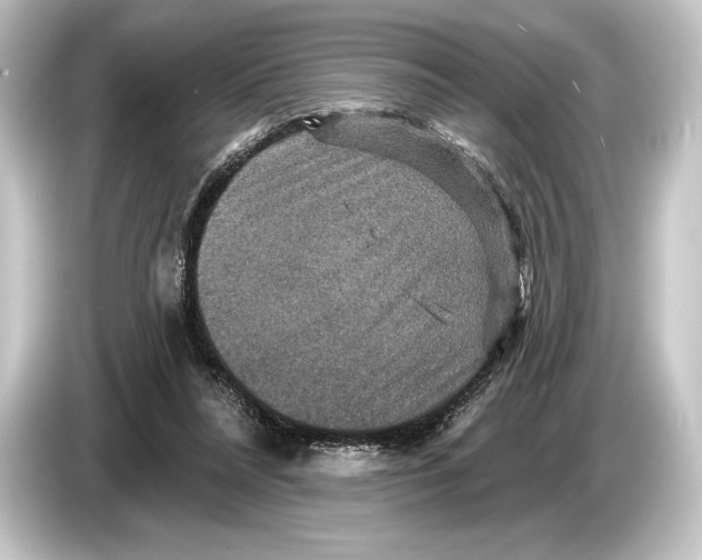 X0000084520304200703161553