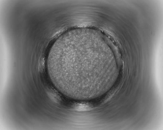 X0000084520308200703161553